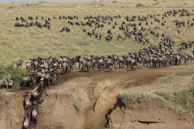 3 Days Maasai Mara Guided Safari From Nairobi - Inclusions and Exclusions