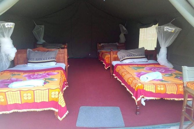 3 Days Maasai Mara Guided Safari From Nairobi - Pickup and Group Size