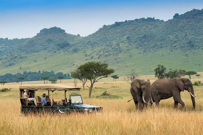 3 Days Maasai Mara Luxury Safari - Departure and Return