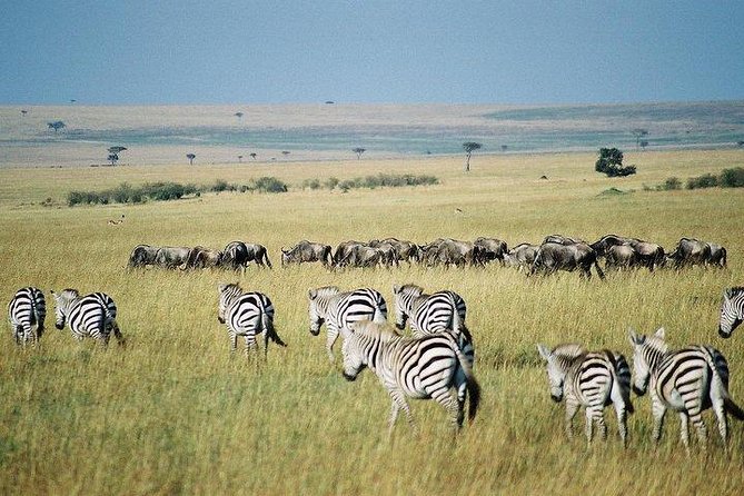 3 Days Maasai Mara Private Lodge Safari at Keekorok From Nairobi - Optional Activities