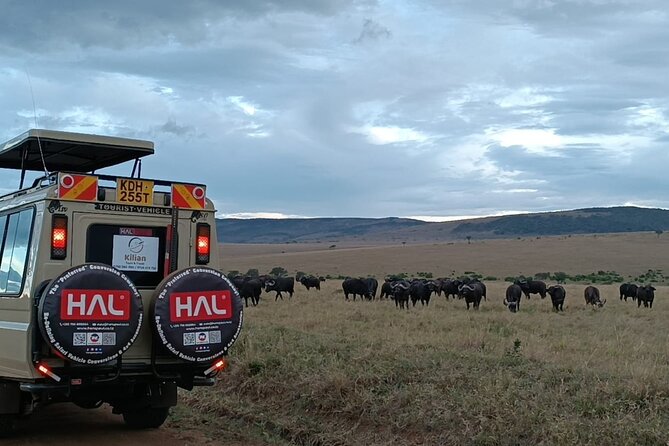 3 Days Maasai Mara Private Safari - Accessibility and Participation