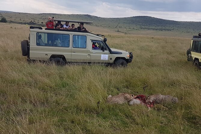 3 Days Maasai Mara Private Safari - Experience Reviews