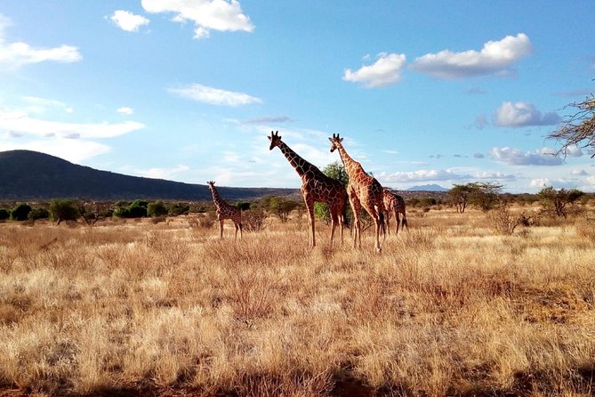 3 Days Maasai Mara Safari From Nairobi - Cancellation Policy Explained