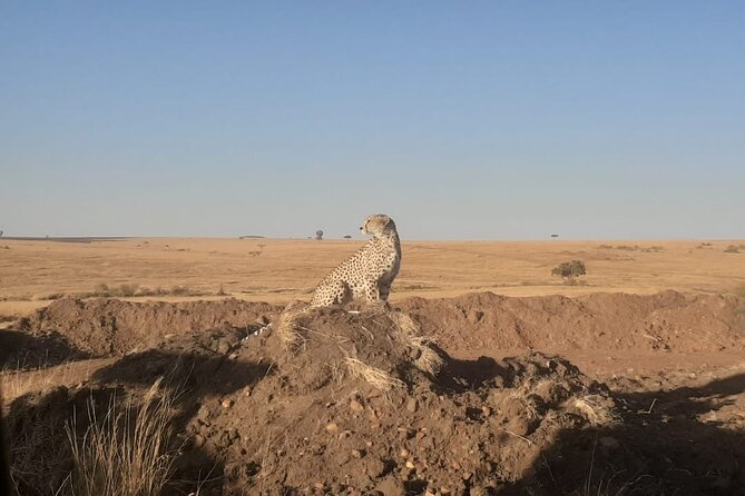 3-Days Maasai Mara Unforgettable Adventure- Jeep Private Safari - Day 1: Arrival and Exploration