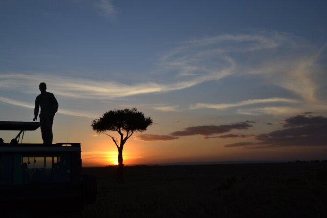3 Days Magical Maasai Mara Private Tour - Accommodation and Meals