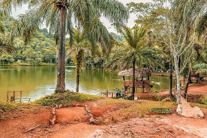 3 Days Magoroto Forest Tour - Transportation Details