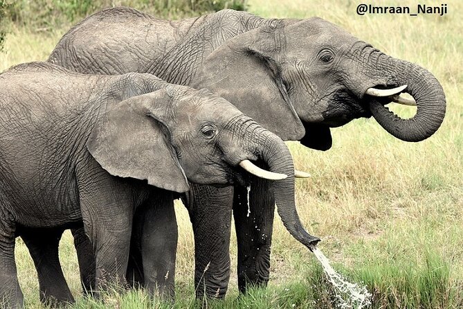 3 Days Masai Mara Camping Safari - Cancellation Policy and Reviews