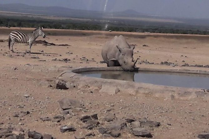 3 Days Masai Mara Experience - Pricing and Guarantees