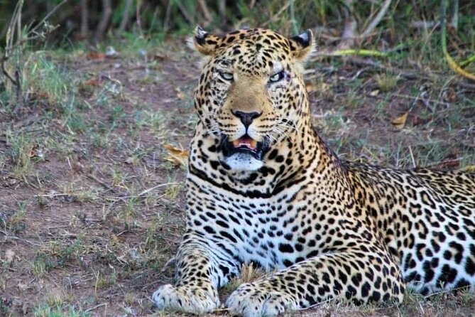 3 Days Masai Mara Flight Safari - Pickup and Start Time