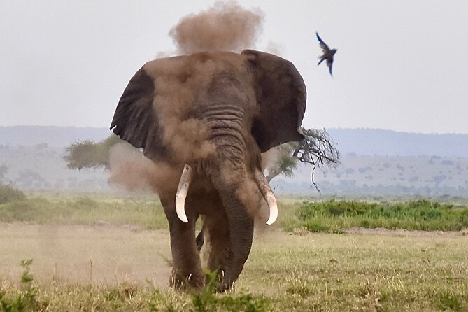 3 Days Masai Mara Luxury Safari - Luxury Accommodations