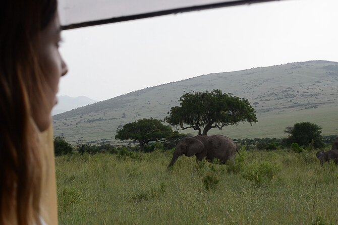 3 Days Masai Mara on Private 4x4 Land Cruiser - Sharing Meals and Cultural Exchange