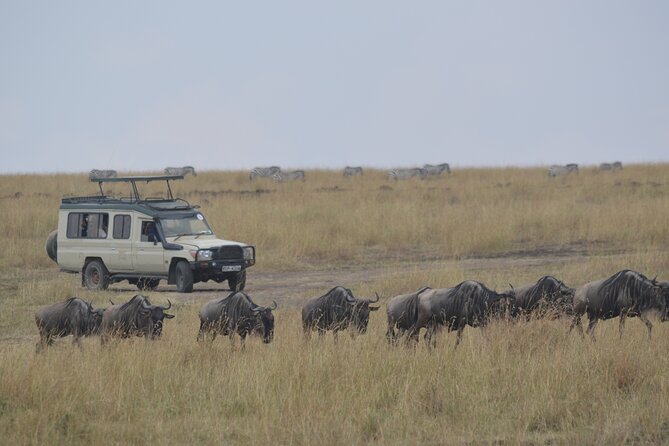 3-Days Masai Mara Rhythms Safari - Exclusions