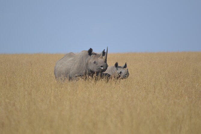 3-Days Masai Mara Rhythms Safari - Reviews