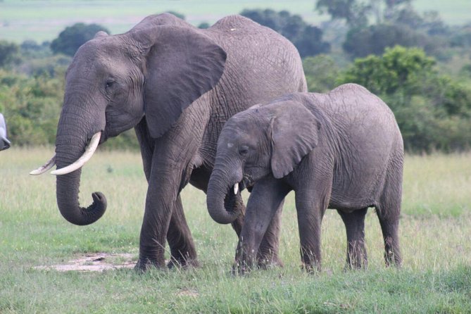 3 Days Masai Mara Safari From Nairobi - Inclusions and Exclusions