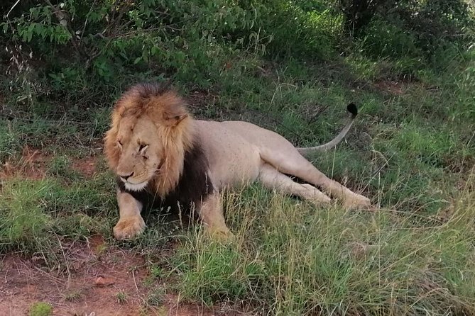 3 Days Masai Mara Safari Group Joining (Daily Departures) - Cancellation Policy