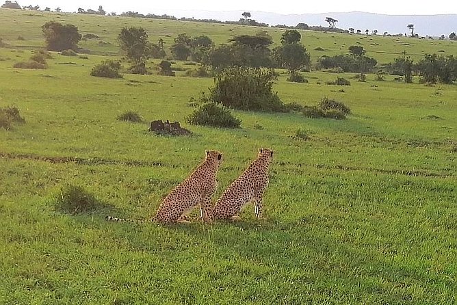 3 Days Masai Mara Safari Group Joining (Daily Departures) - Tour End