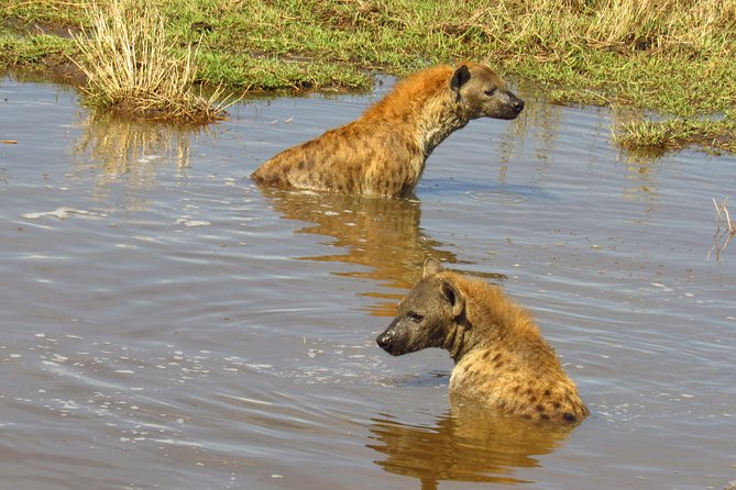 3 Days Masai Mara Tented Camp & Transport 4 X 4 Jeep - Additional Information