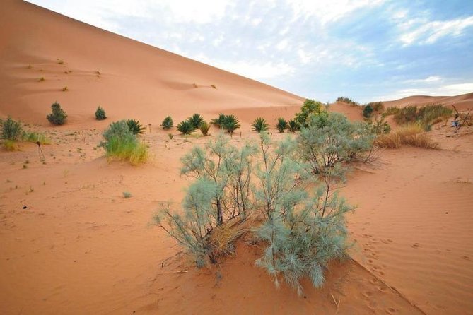 3 Days Merzouga Desert Tour From Marrakech to Fes - Highlights and Memorable Moments