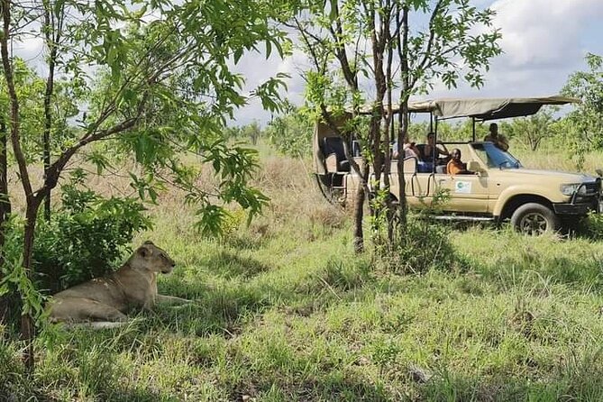 3 Days Mikumi National Park From Zanzibar or Dar Es Salaam - Pricing Information