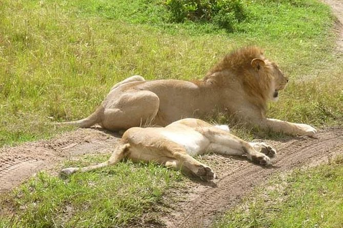 3 Days Mikumi National Park From Zanzibar or Dar Es Salaam - Review Highlights