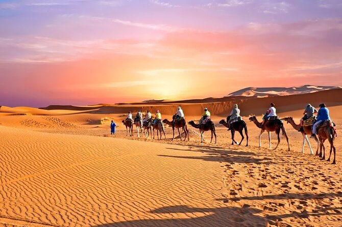 3-Days Morocco Tour : Sahara Desert Tour From Fes to Marrakech - Traveler Experiences