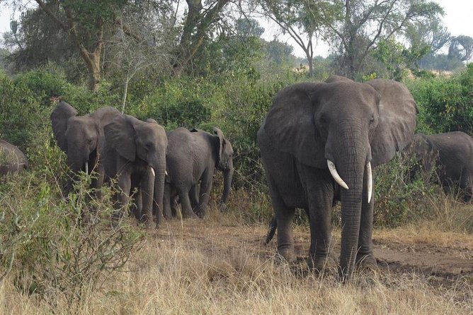 3 Days Murchison Falls Holiday Safari - Exclusions