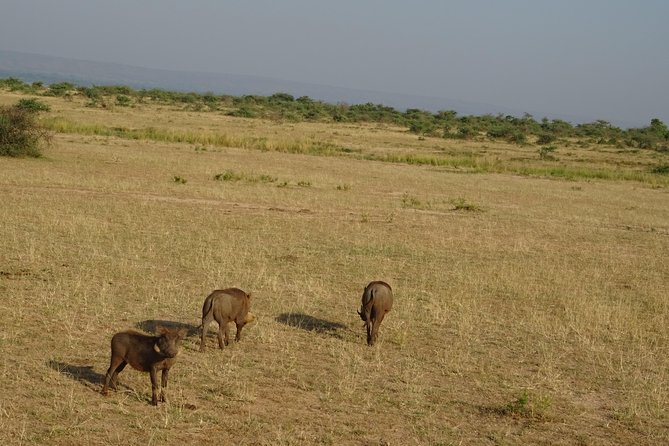 3 Days Murchison Falls Park Uganda - Inclusions and Costs