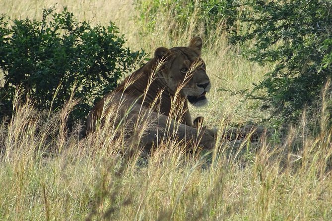 3 Days Murchison Falls Park Uganda - Meeting and Pickup Information