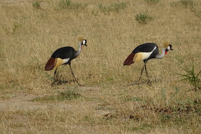 3 Days Murchison Falls Park Uganda - Customer Reviews