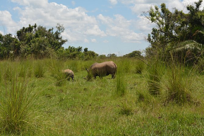 3-Days Murchison Falls Vacation Including Big 5 Sighting! - Traveler Information