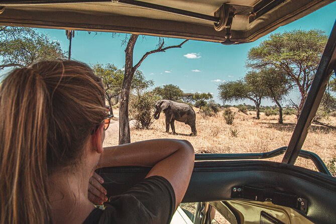 3 Days Ngorongoro & Serengeti Fly in Safari - Serengeti Safari Lodge Experience
