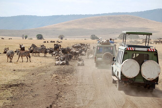 3 Days Ngorongoro & Serengeti Fly in Safari - Transportation and Flight Arrangements
