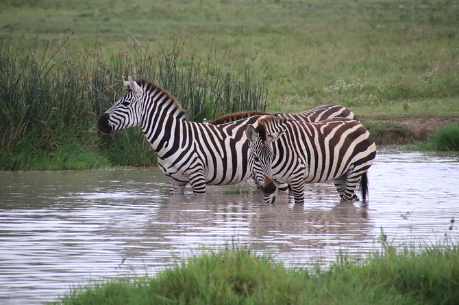 3 Days Nyerere (Selous) Park Private Safari With Boat Trip - Meeting and Pickup Details