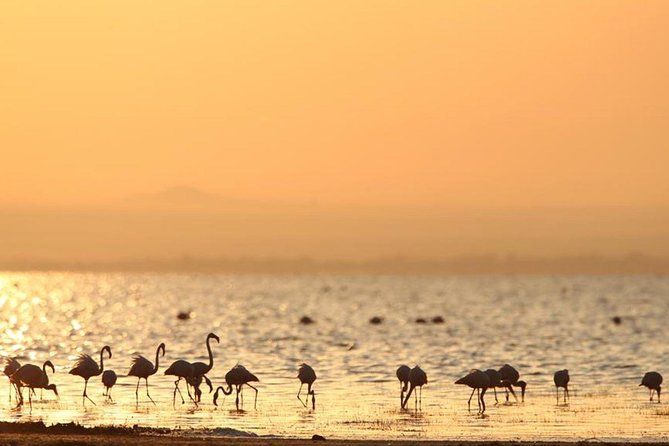 3 Days of Camping Bliss in Serengeti and Ngorongoro Crater - Accessibility and Participation Accommodations
