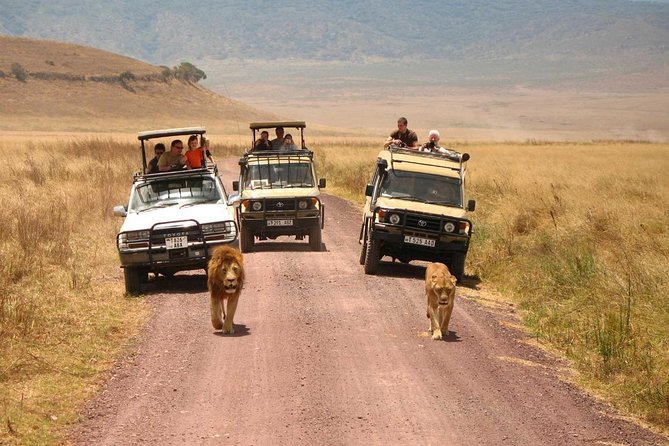 3 Days of Camping Bliss in Serengeti and Ngorongoro Crater - Traveler Testimonials and Safari Reviews
