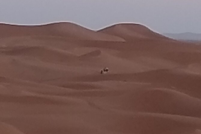 3 Days of Desert Adventures and Berber Encounters in Zagora - Sandboarding Adventures