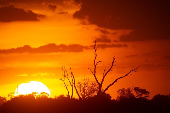 3 Days Okavango Delta - Pickup and Meeting Details
