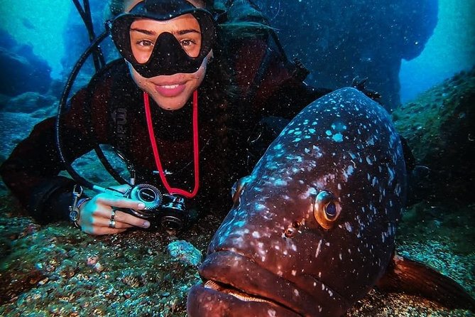 3 Days Open Water Course | Scuba Diving - Meeting and Pickup