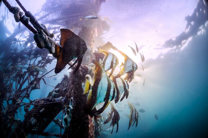 (3 Days) PADI Open Water Diver Course Kota Kinabalu - Meeting Location