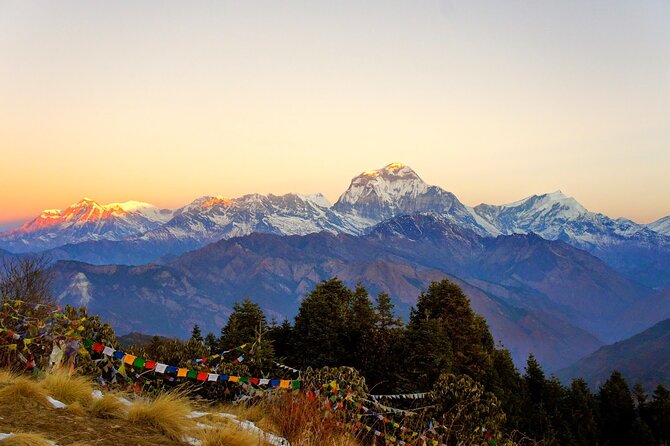 3 Days Poon Hill Trek - Pickup and Arrival