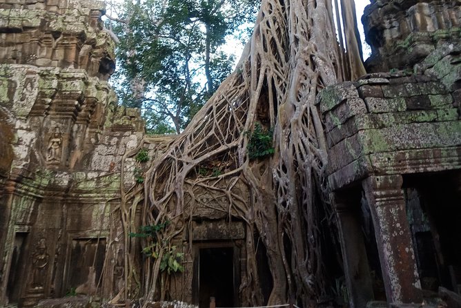 3 Days Private Angkor Tours & Floating Village From Dawn To Dusk - Positive Guest Reviews and Feedback