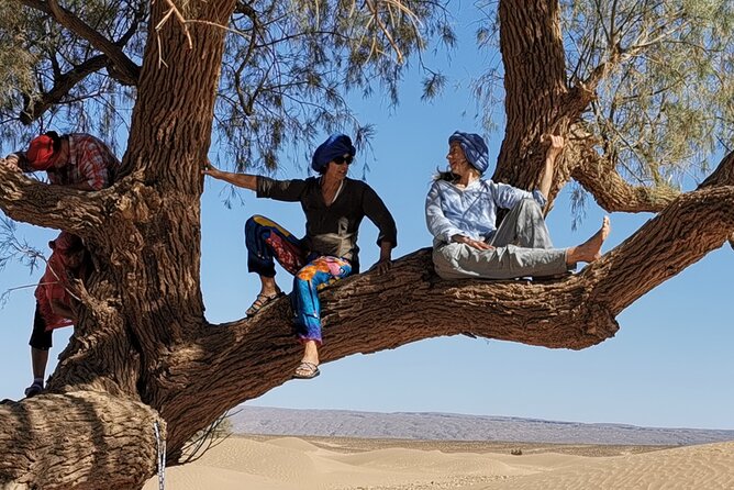 3-Days Private Discovery of the Desert From Ouarzazate to MHAMID in 4x4 - Confirmation and Booking