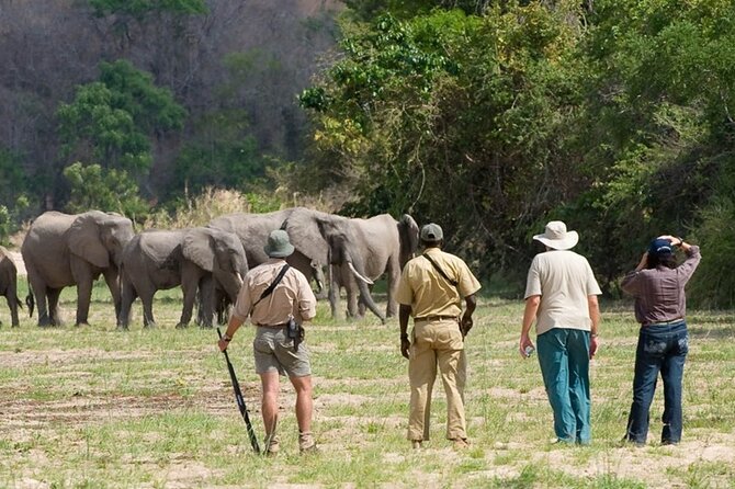 3-Days Private Nyerere NP Game Drive and Boat Safari Tour - Pickup Information
