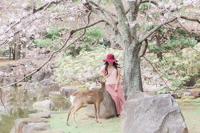 3 Days Private Osaka Kyoto and Nara Tour With English Driver - Tour Highlights