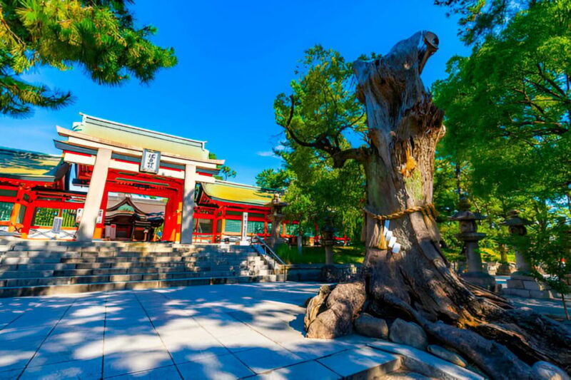 3 Days Private Osaka Kyoto and Nara Tour With English Driver - Included Entrance Fees