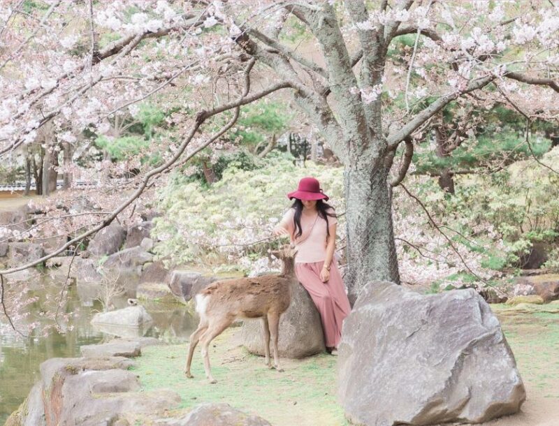 3 Days Private Osaka Kyoto and Nara Tour With English Driver - Key Points