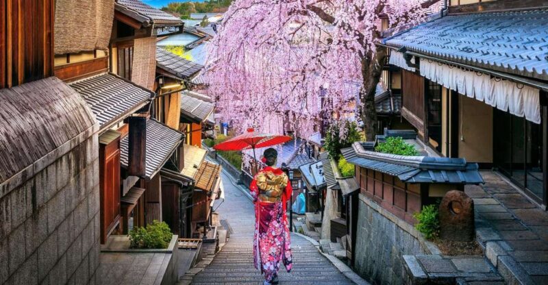 3 Days Private Osaka Kyoto and Nara Tour With English Driver - Transportation and Accessibility