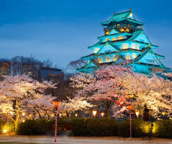 3 Days Private Osaka Kyoto and Nara Tour With English Driver - Languages and Pickup Service