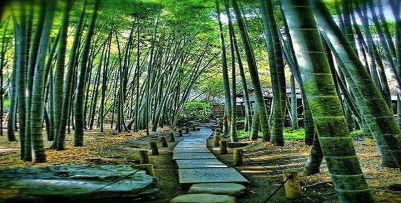 3 Days Private Osaka Nara and Kyoto Tour With English Driver - Itinerary Highlights