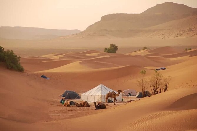 3-Days Private Sahara Desert Trek - Guest Reviews and Ratings
